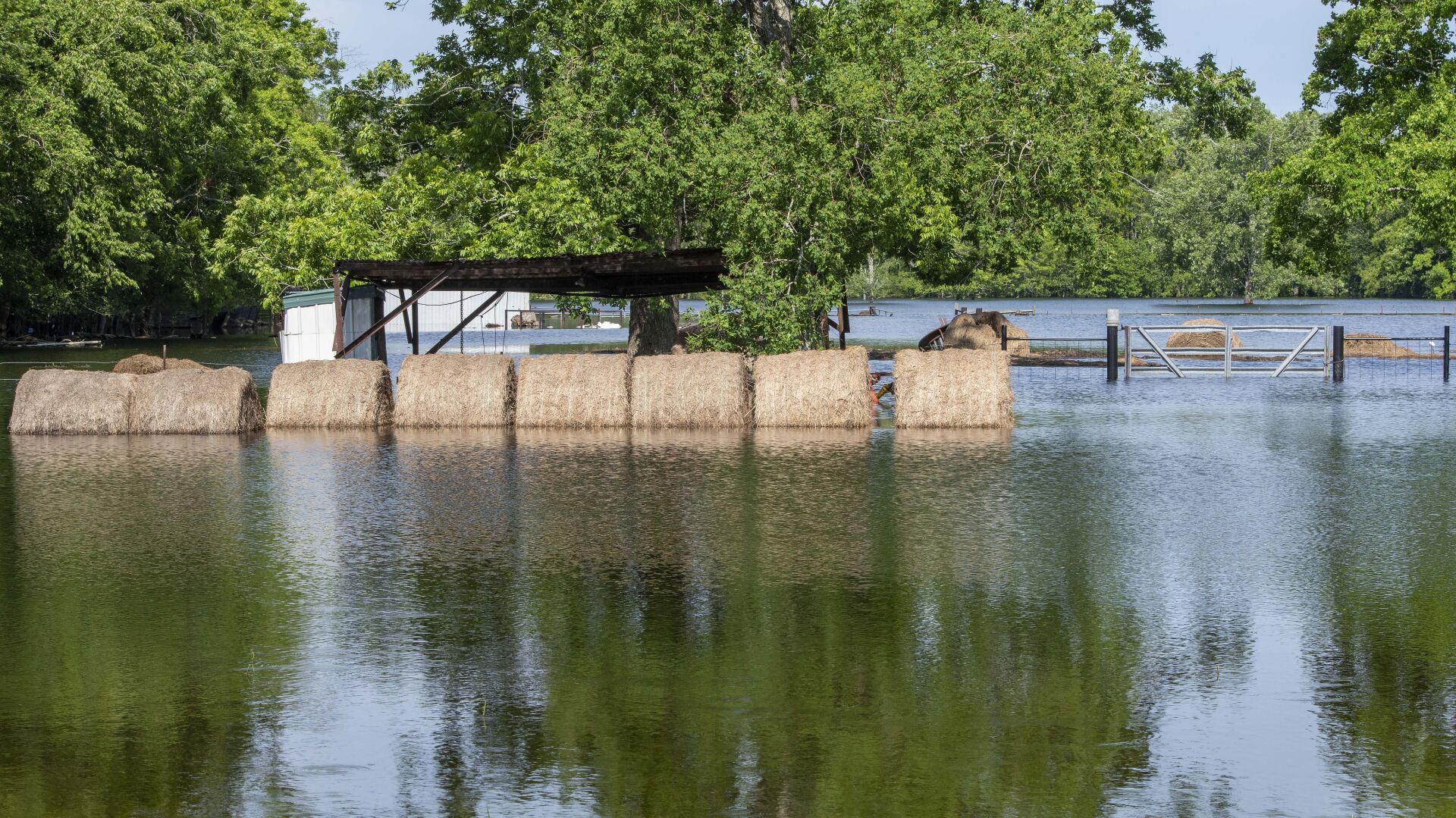 BR.floodfolo.052521 0217 bf.jpg